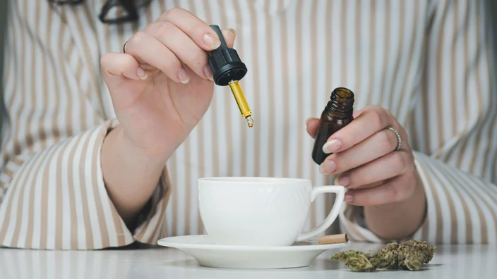 CBD oil for endocannabinoid system