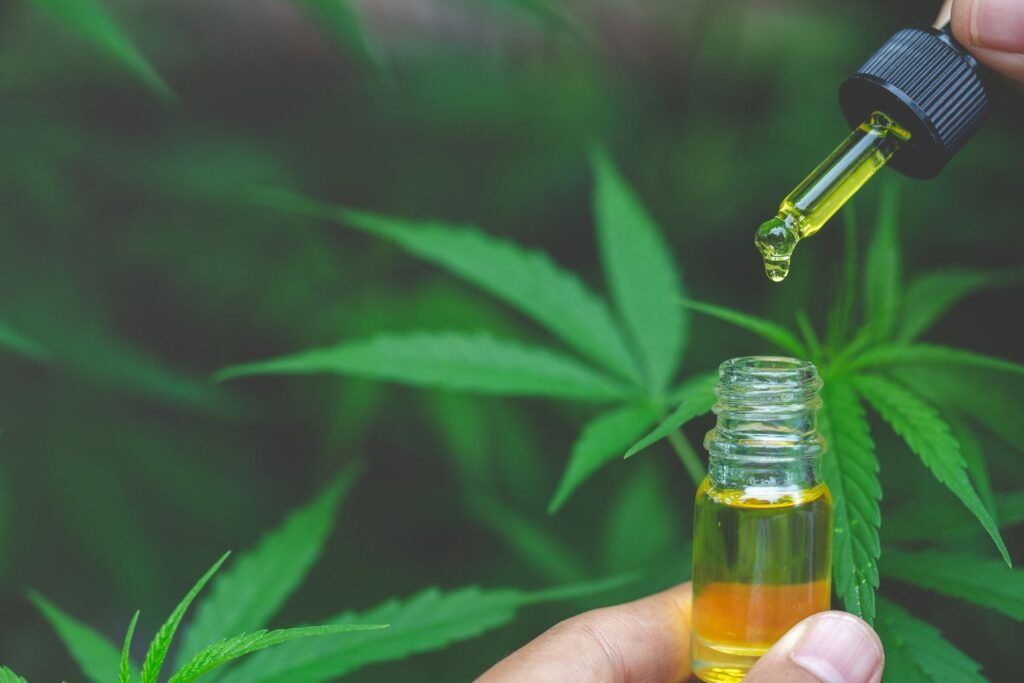 What Is CBD Oil and How Does It Work