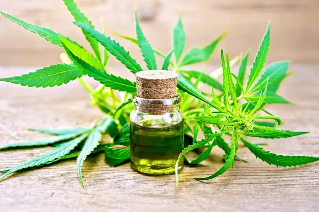 Common CBD Oil Mistakes Beginners Should Avoid